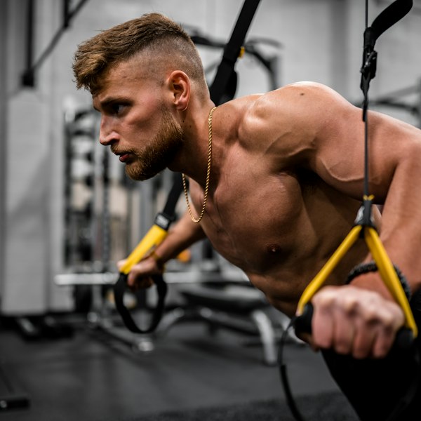 Beginners Bulking Cycle