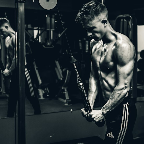 Intermediate Bulking Cycle