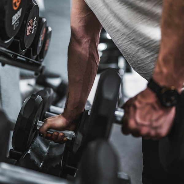 Beginners Bulking Cycle