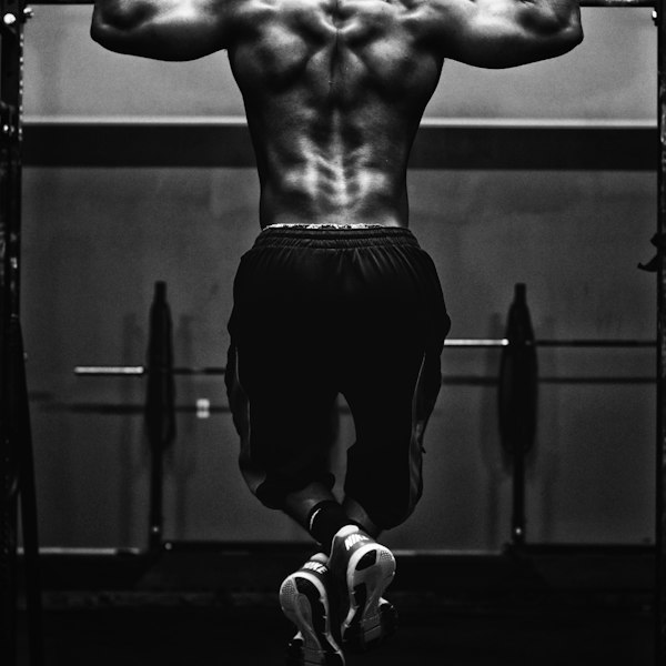 Beginners Bulking Cycle